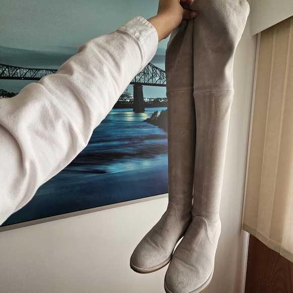 Stuart Weitzman Light Grey Suede Boots - Picture 3 of 15